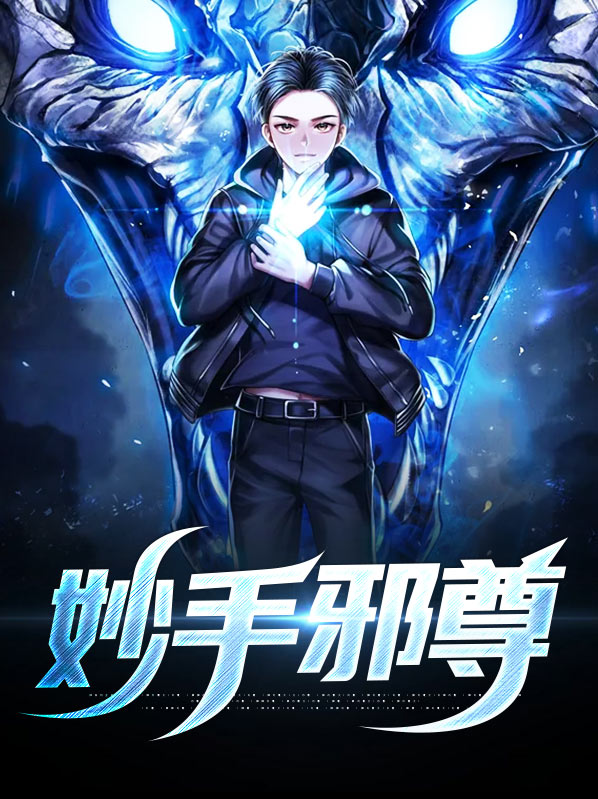 妙手小邪医小说