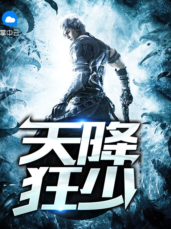 天降狂少 小说