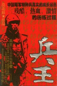 兵王归来
