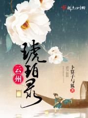 云州琥珀录全文阅读