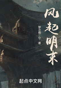 风起明末笔趣阁