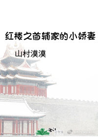 红楼之首辅家的小娇妻全文