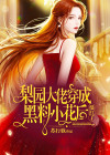 背景是梨园的小说