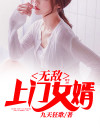 无敌上门女婿作者:泛不醉