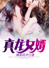 真龙赘婿