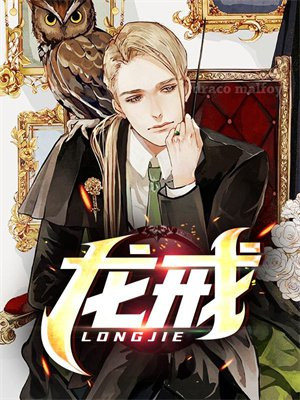 龙戒传奇