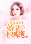 恃宠而骄:娇妻你别跑