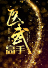 医武高手苏晨百度百科