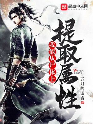 小说我能提取属性