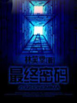 最终密码小说