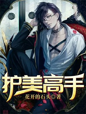 护美高手全文