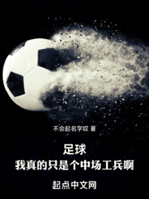 足球我真的只是个中场工兵啊小说