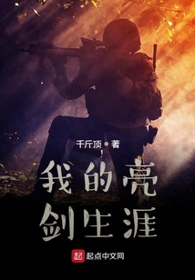 我的亮剑生涯无防盗