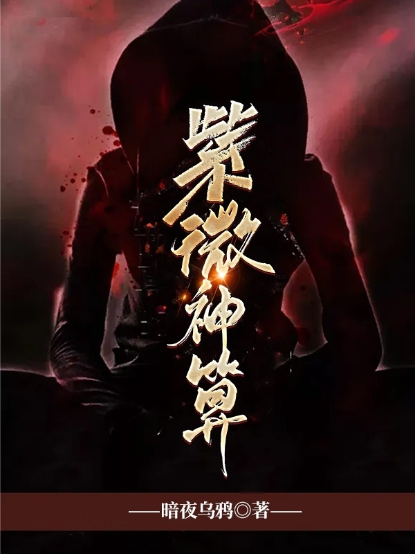 紫微神算 暗夜乌鸦