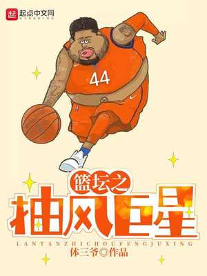 篮坛之抽风巨星 小说