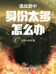 谍战:身份太多