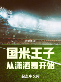 国米王子从潇洒哥开始小说