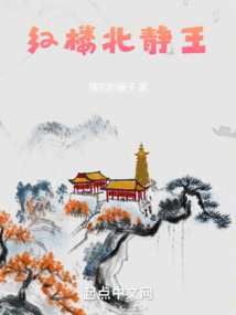 红楼北静王笔趣阁,作者撑死的瘦子