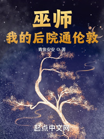 巫师后宫