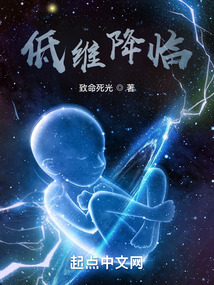 低维降临校正