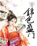 锦色盈门小说