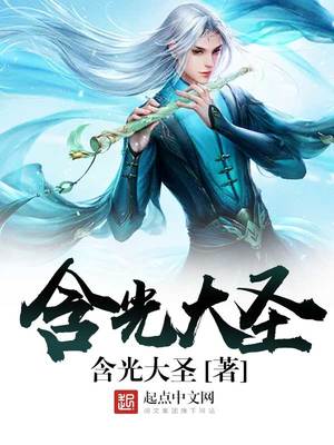 含光大圣 小说