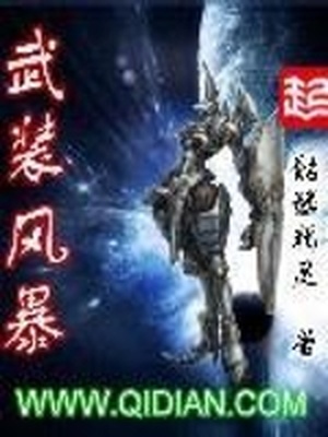 武装风暴txt精校全本