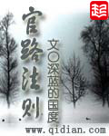 官路法则 小说
