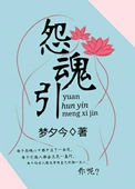 怨魂引全文免费阅读作者:梦夕今