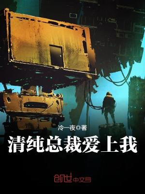 总裁爱上清洁工电视名叫什么