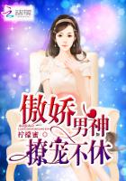 傲娇男神,撩宠不休小说