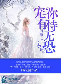 闪婚――宠妻无下限