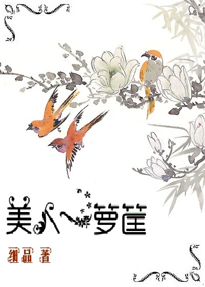 美人一箩筐小说