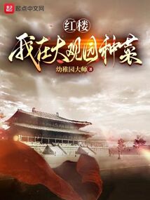 红楼:我在大观园种菜txt奇书网
