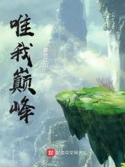 唯我巅峰笔趣阁