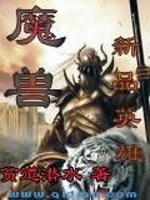魔兽新品英雄 小说