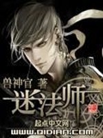 迷法师黑暗精灵小说