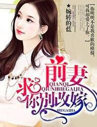 前妻,求你别改嫁