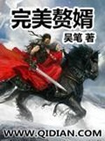完美赘婿短剧合集