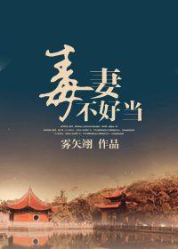 毒妻不好当晋江