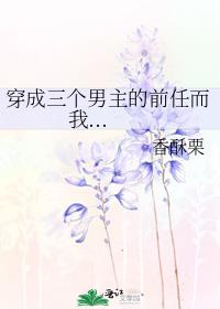 穿成三个男主的前任而我txt