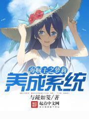 海贼王之系统小说完结
