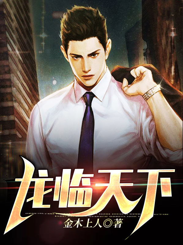 龙临天下第四部电视剧