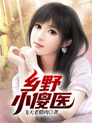 乡野小傻医小说