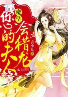 魔皇大人的清冷