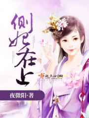 侧妃上位记在线阅读