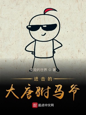 大唐之少年驸马爷 一锤定音