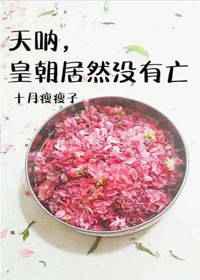 天啊皇朝居然没亡