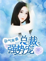 孕气来袭:总裁强势宠 暖晨