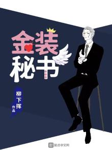 金装律师秘书
